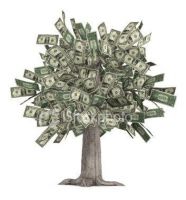 rich getting richer poor getting poorer b2ap3 large money tree e1560402032185