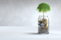 Break Impulse Buying Habits: Stick To A Budget & Save Money